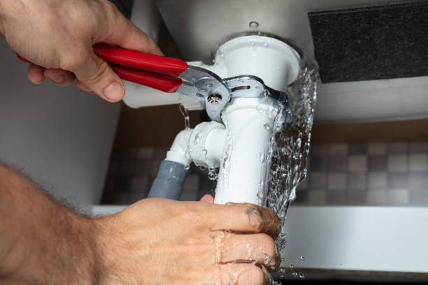Best Water damage contractors near me  in Forest Hills, PA