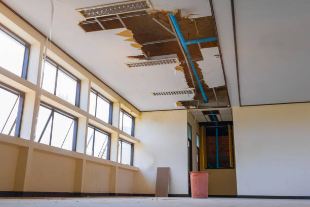Best Basement water damage restoration  in Forest Hills, PA