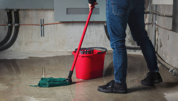 Best Professional water damage repair  in Forest Hills, PA