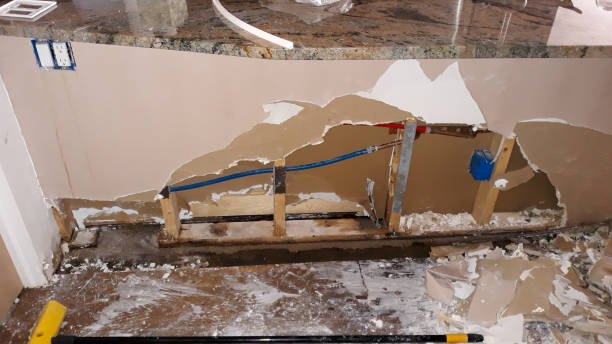 Best Fire Damage Restoration  in Forest Hills, PA