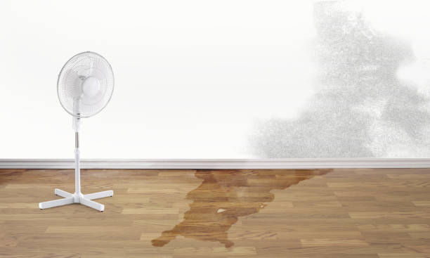 Reliable Forest Hills, PA Water damage restoration Solutions