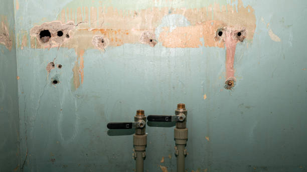 Best 24/7 water damage repair  in Forest Hills, PA